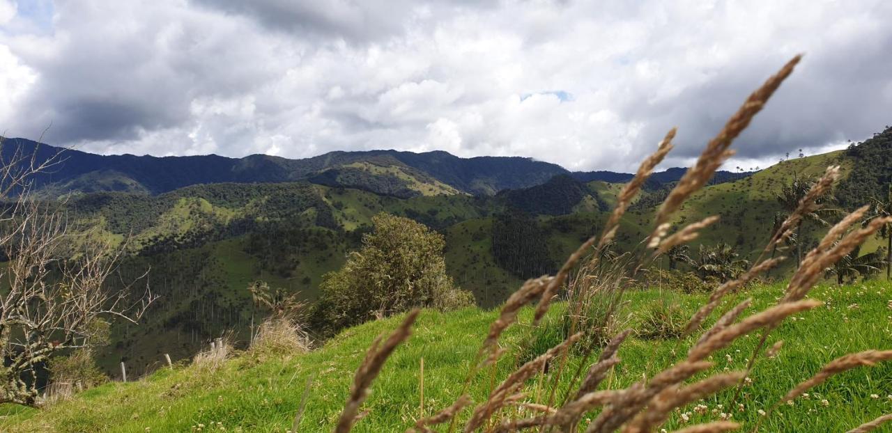 Posada Martha Tolima サレント エクステリア 写真